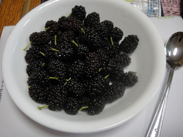 DSC00199.jpg