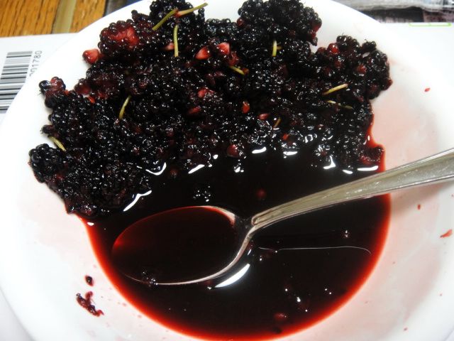 DSC00200.jpg