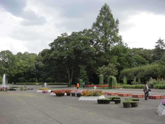 DSC01339.JPG