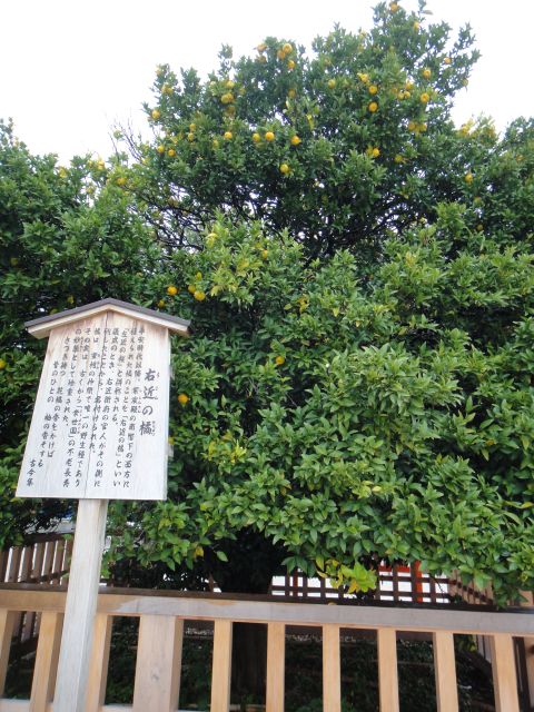 kata01068.JPG